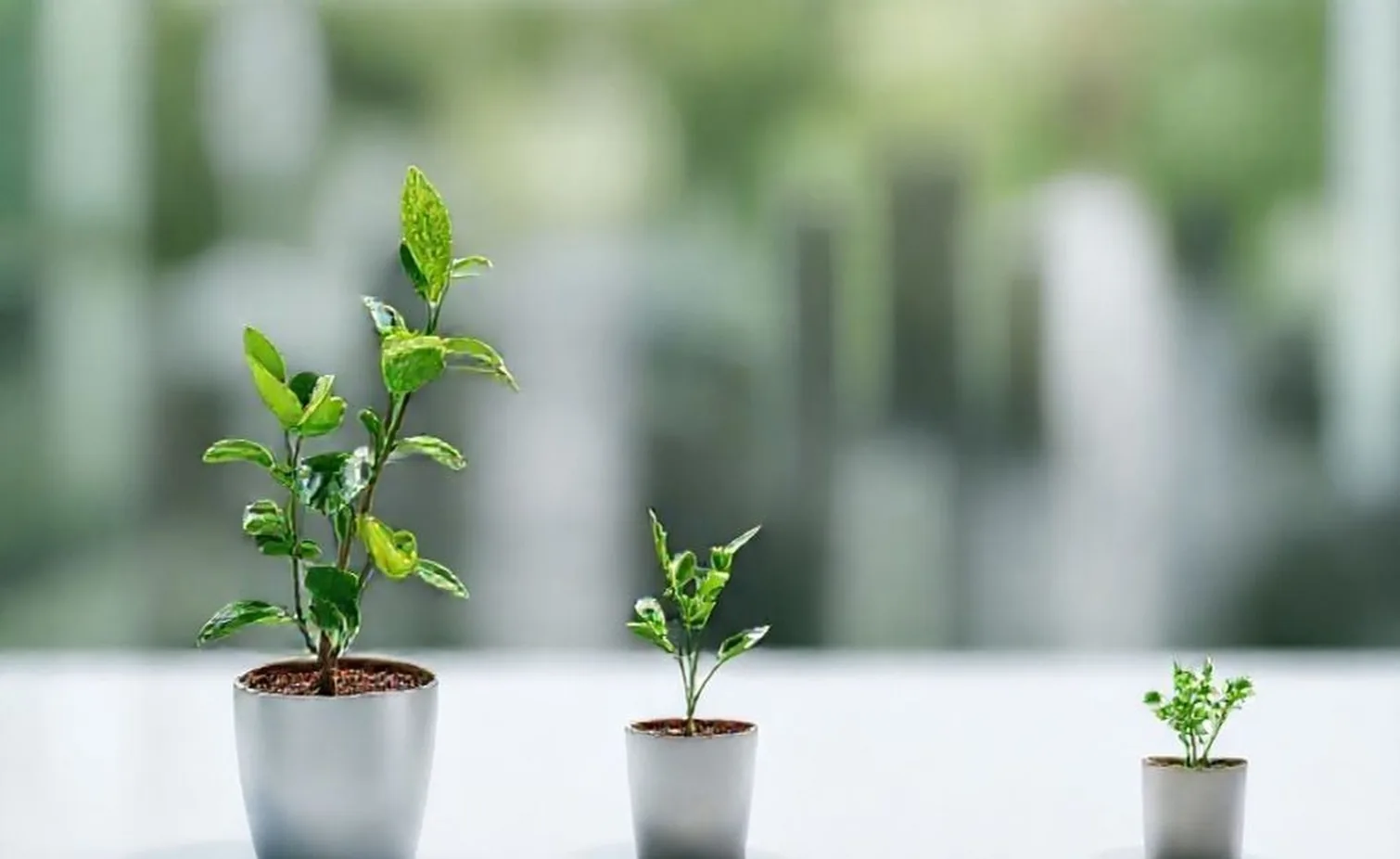 Sustainability consulting corporate green